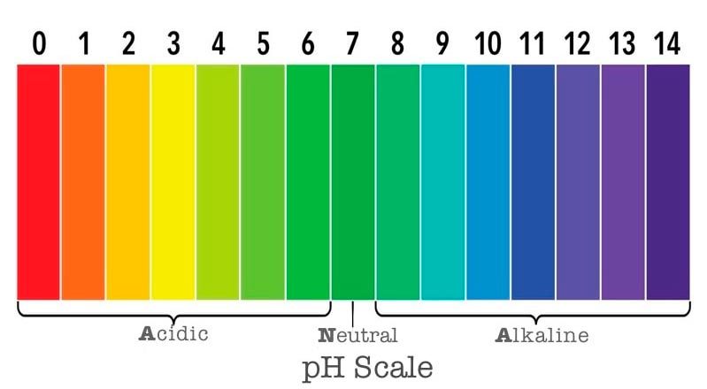 what-does-alkaline-mean-metabole-wellness